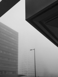 Morning Fog