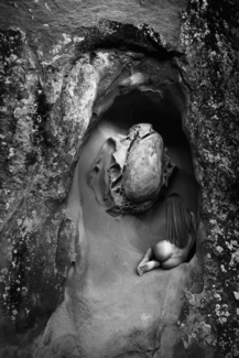 Incubation