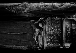 Holy Bible