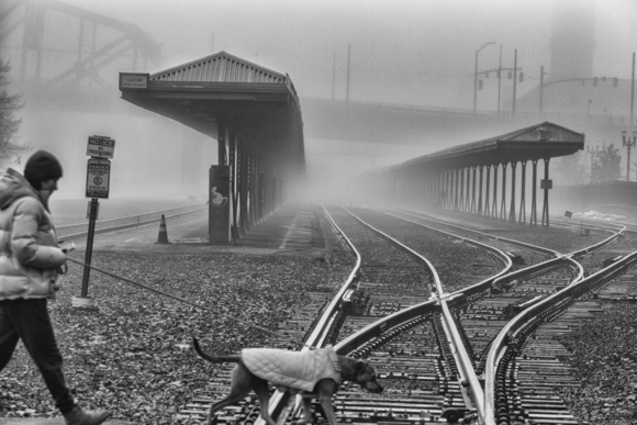 Fog Tracks