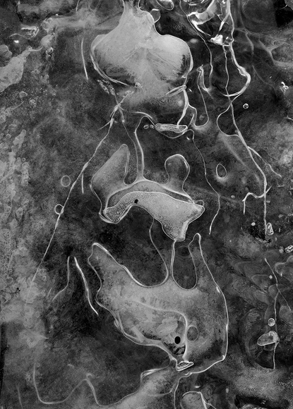 Ice study #11 (For Frederick Sommer)