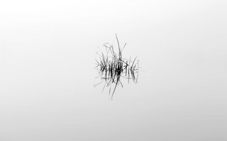 Dragonfly Island