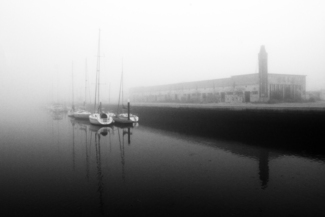 Morning Fog