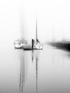 Dawn