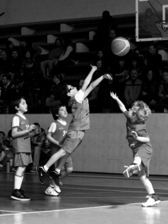 Minibasket