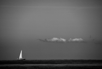 Segelregatta