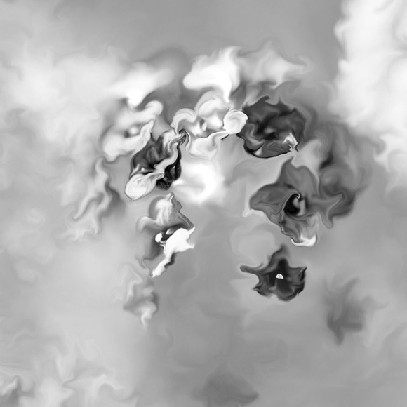 The Hanging Gardens 