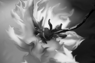 Pearl Dragon