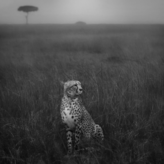 Under the rain