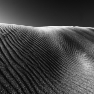 Dune 2