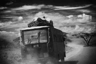 African Ambulance