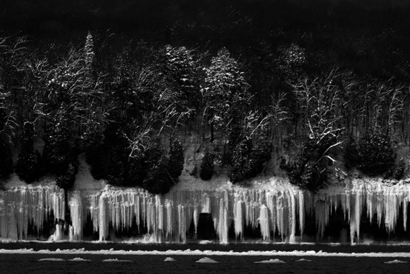 Shoreline Palisades