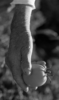 By Hand