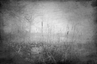 the forsaken pond 4