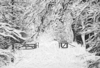WINTERSTORM