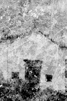 Overgrown Mission