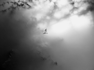 Heaven and Hell