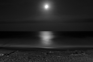 Moonlight