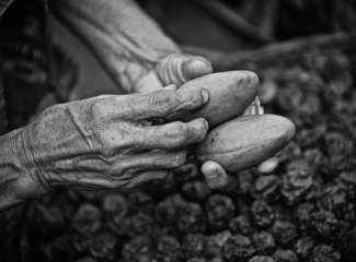 Handful of Food