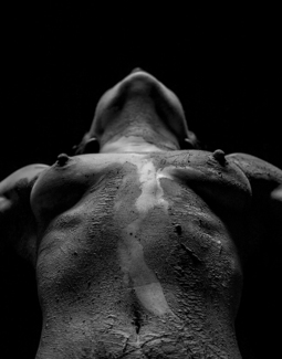 Clay Body