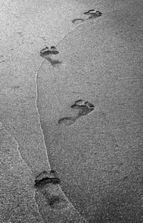 Footprints