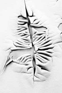 pulling apart