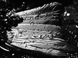 Fragment