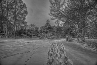 first snow morning