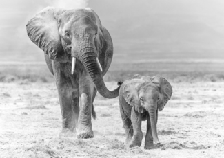 Mom and Me