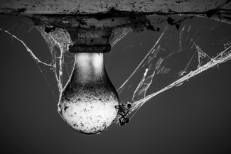 Lightbulb