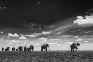 Changing Land