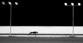 RACE