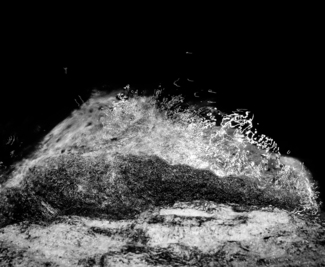 Lightscape Study 3