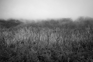 la gomera
