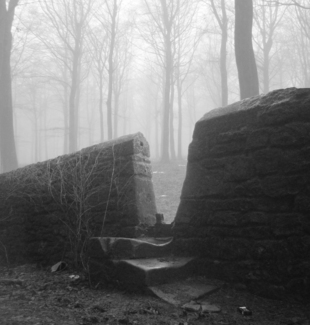 Raby Woods