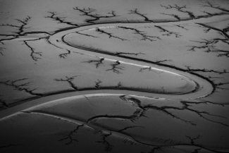Mudflats