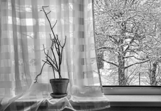 windows of my study