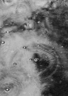 Ripple #5
