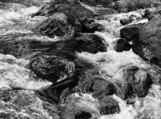 Tributaries, Diptych
