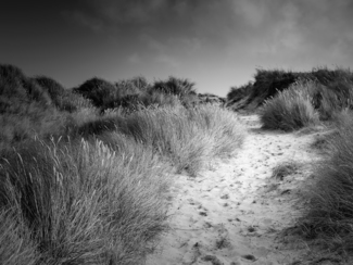 Beach Serie 1