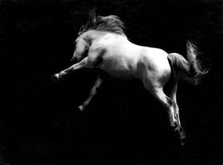Weightless