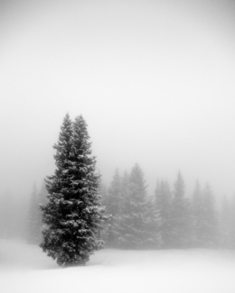 Silence / Blizzard