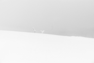 Whiteout