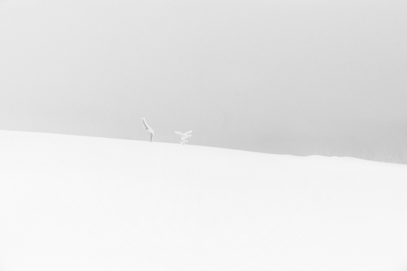 Whiteout