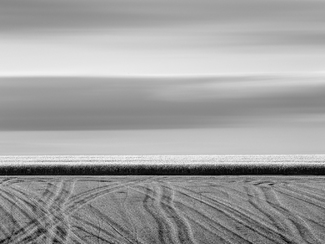 Fields