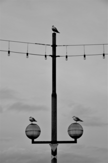 Podium