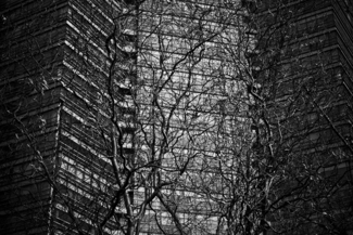 BABEL #11