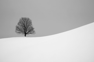 In Search of Silence