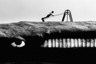 A Whale in Wales