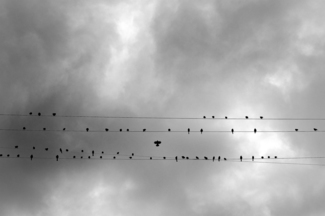 Out Of Line